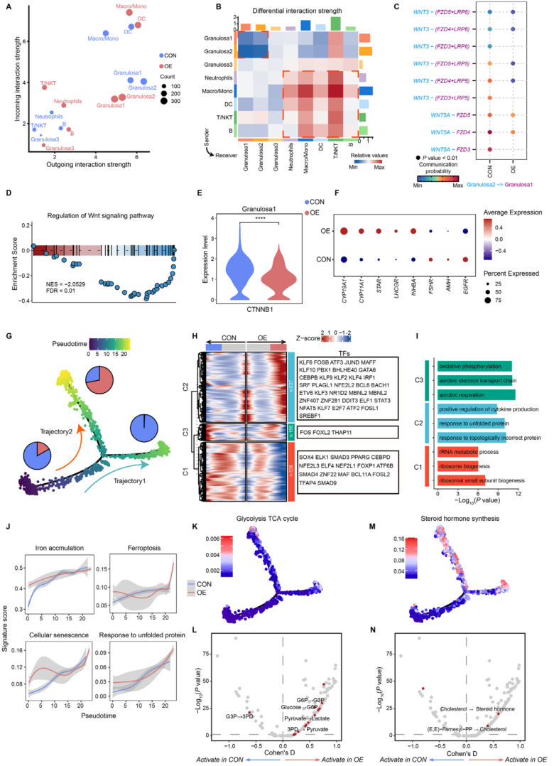 图2 OEI患者卵泡液中 Granulosa1 的代谢重编程